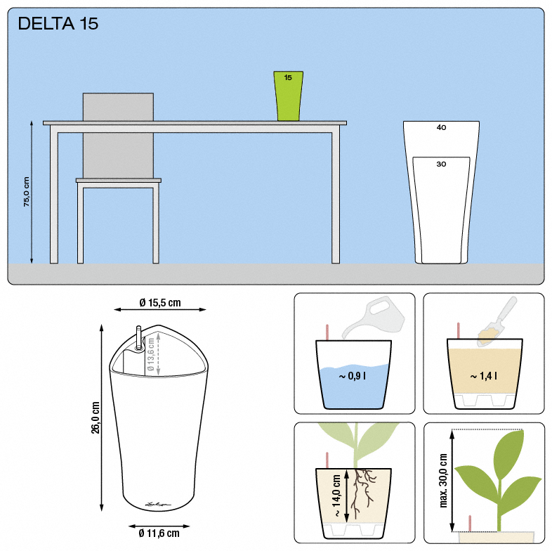 office plants